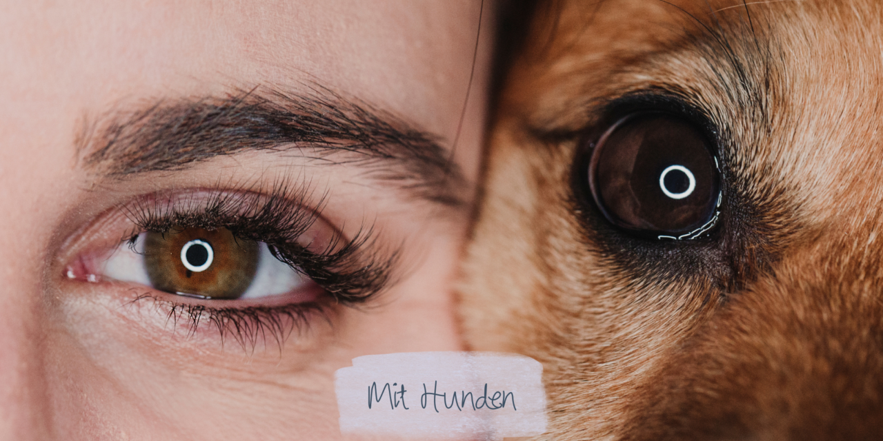 Authentisch – mit Hunden