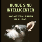 Hunde sind intelligenter