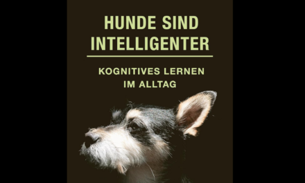 Hunde sind intelligenter