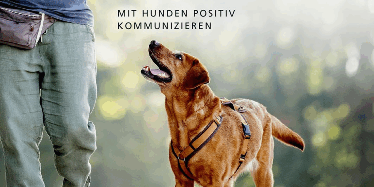 Die Macht der Körpersprache