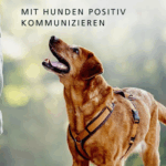 Die Macht der Körpersprache