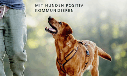 Die Macht der Körpersprache