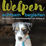 Welpen achtsam begleiten