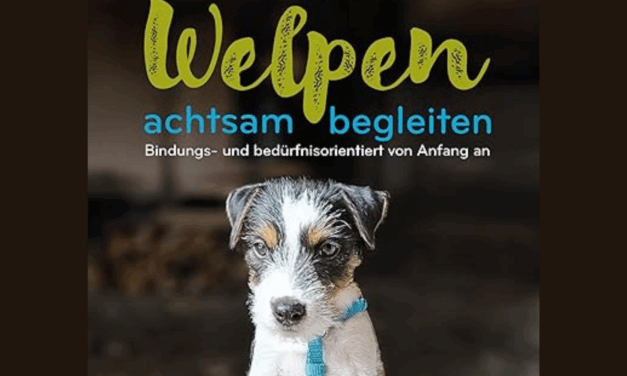 Welpen achtsam begleiten