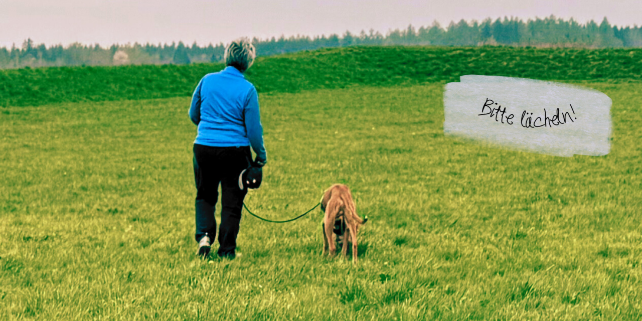 Leinenführigkeit 1: Es gibt keinen Trick 17!
