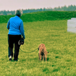 Leinenführigkeit 1: Es gibt keinen Trick 17!