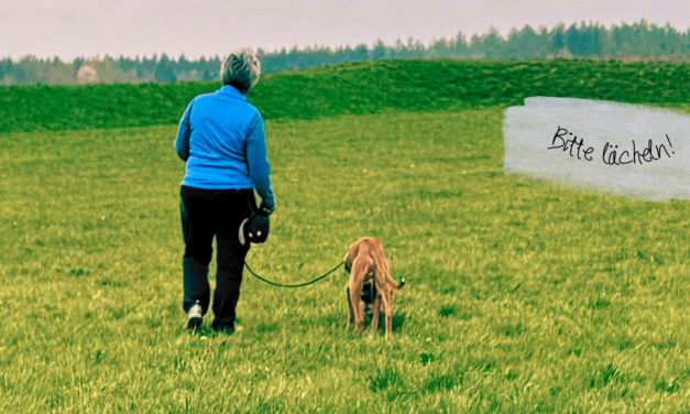 Leinenführigkeit 1: Es gibt keinen Trick 17!