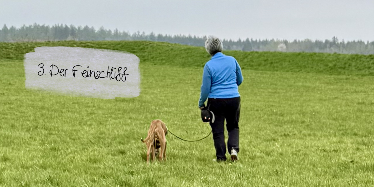 Leinenführigkeit 3: Lockere Leine leicht gemacht – der Feinschliff