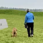 Leinenführigkeit 2: Lockere Leine leicht gemacht – die Basics