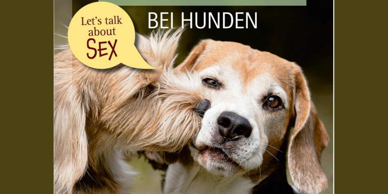 Sexualverhalten – Hormone – Kastration bei Hunden