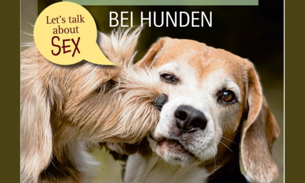 Sexualverhalten – Hormone – Kastration bei Hunden